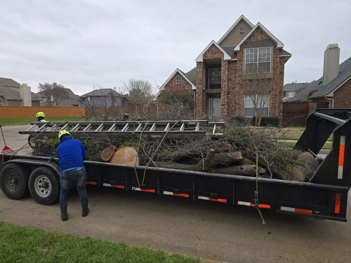 Expert Tree Fertilization with proper safety equipment in Morrow